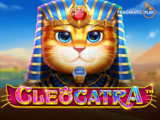 Güvenilir casino slot siteleri86